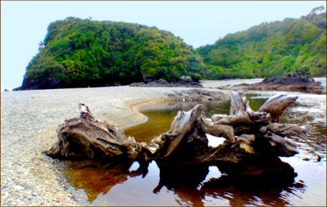 West Coast Beaches Of New Zealand (31)
