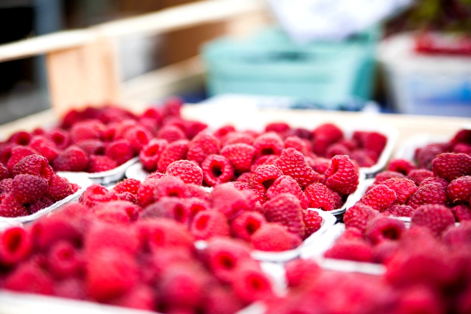 Red Raspberries On White Container photo