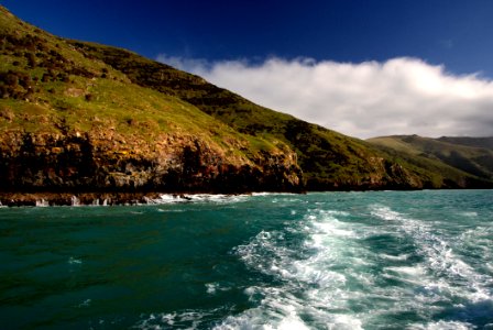 Akaroa Harbour NZ