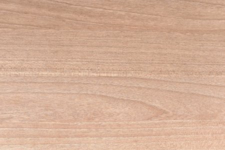 Wood Background