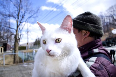 Chat 507