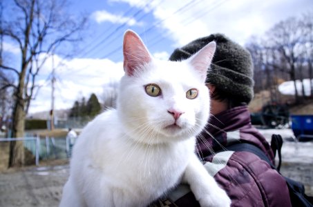 Chat 503