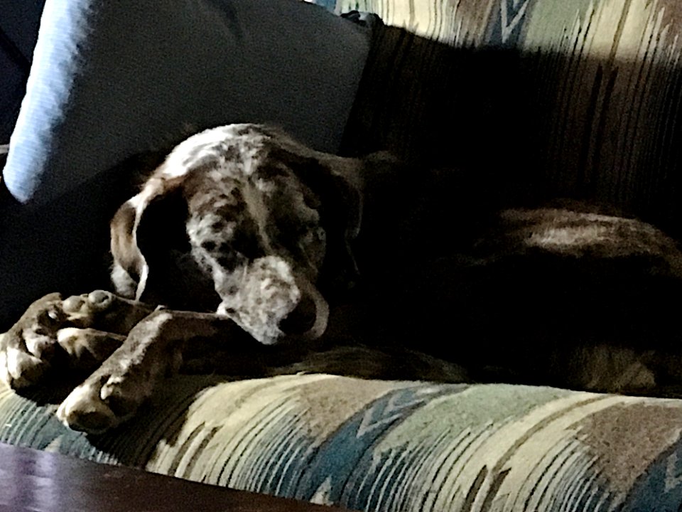 Sleeping Soundly While The World Unhinges