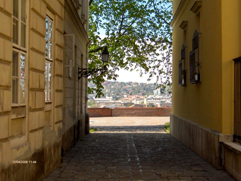 Cobbled Alley And Old Fashioned Buildings