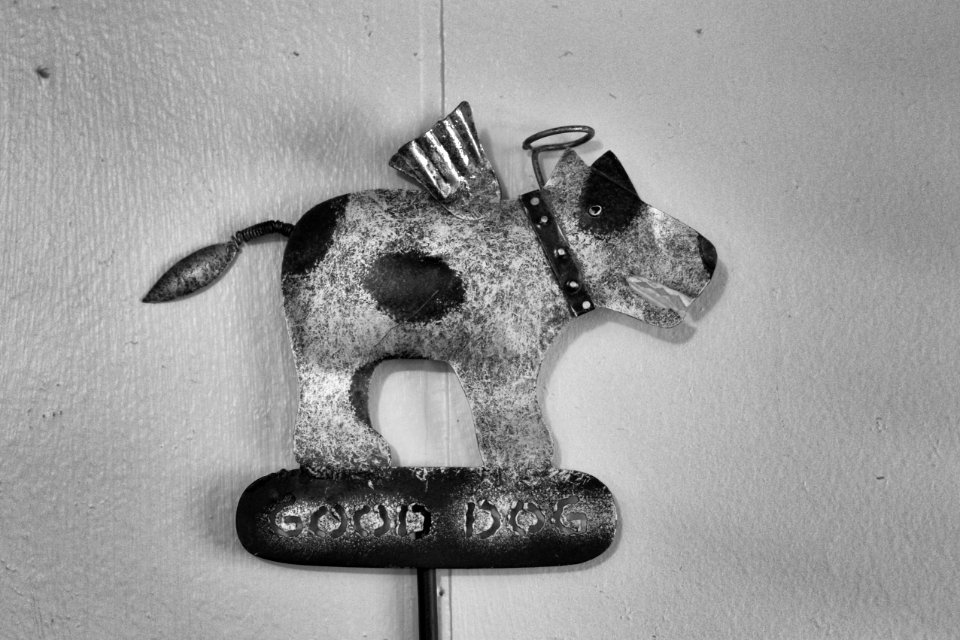 2014365217 Be A Good Dog
