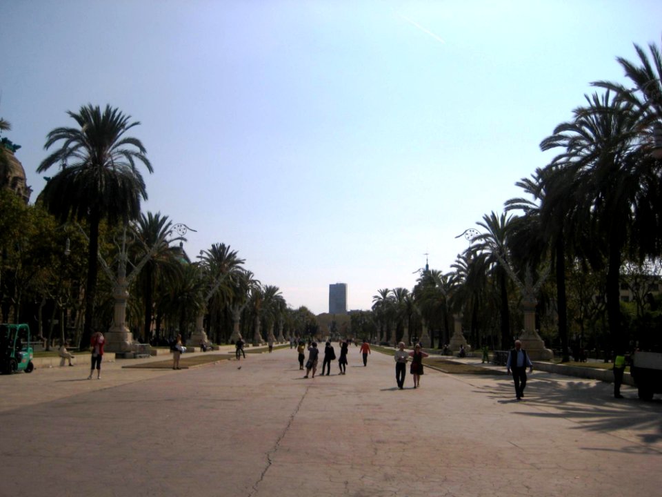 Pedestrian Street And Palms Aside
