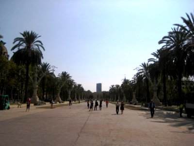 Pedestrian Street And Palms Aside