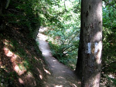 Mountain Path