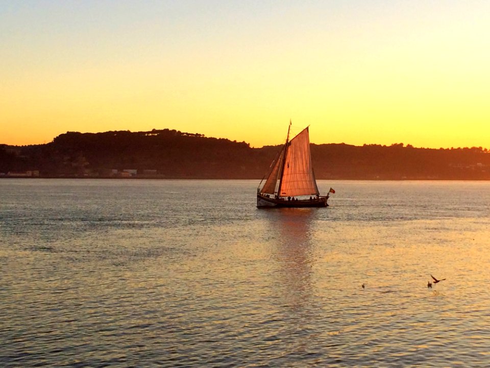Felluca Boat Sailing At Sunset