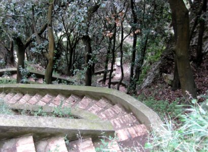 Stairway In Park photo