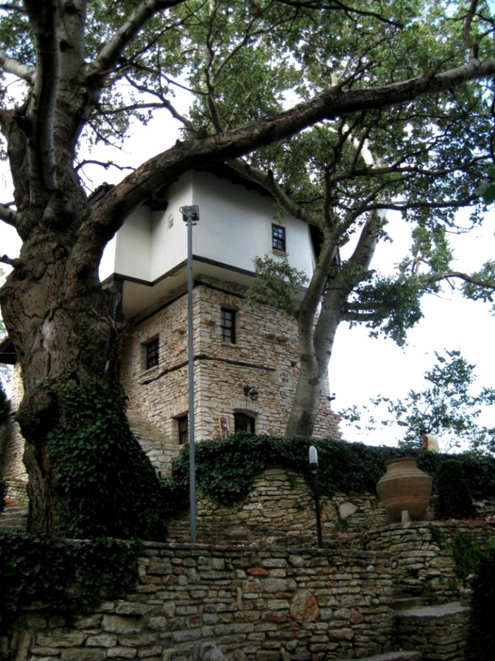 Building And Garden
