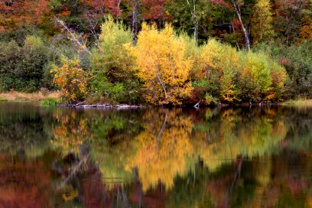 Autumn Trees Reflecting From Lake photo
