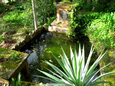 Garden Pool photo