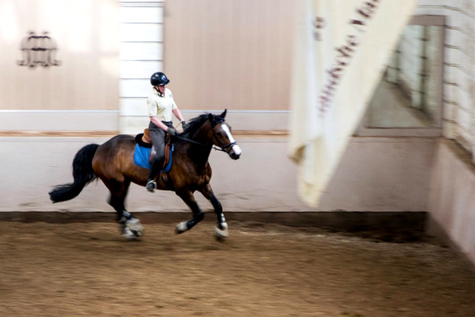 Rider And Horse In Riding School