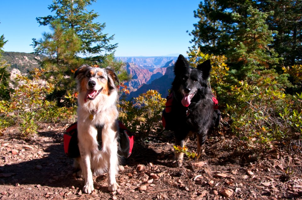 Grand Canyon North Rim