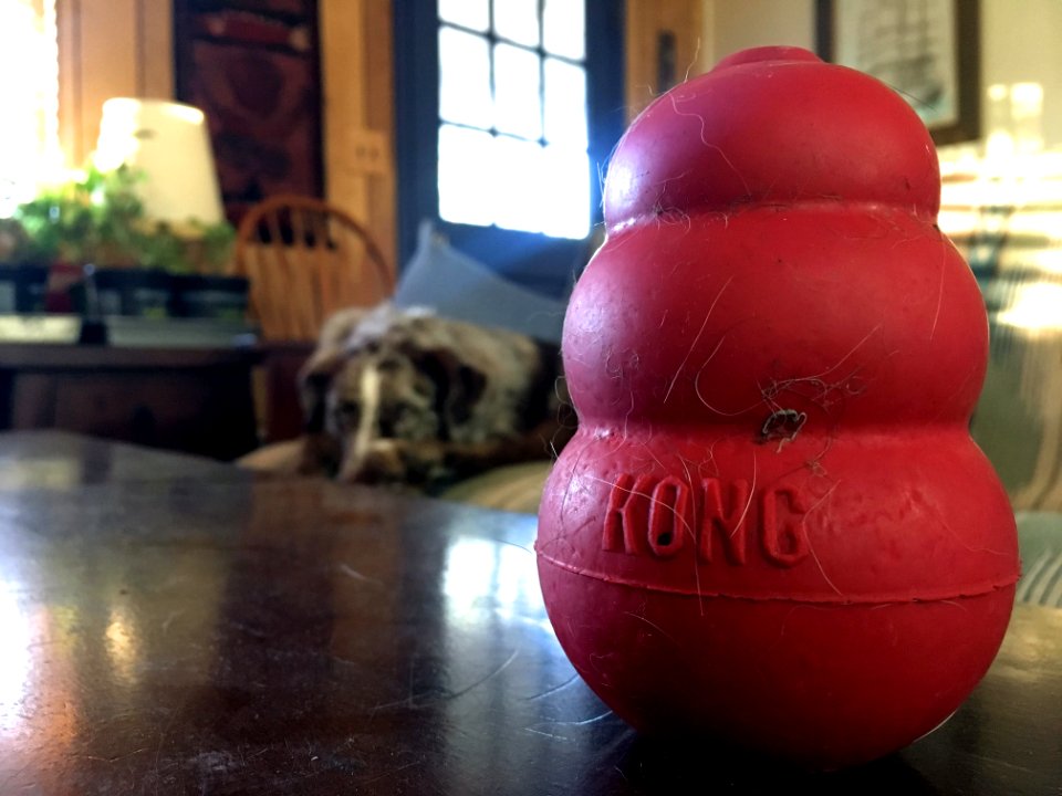 A Sleeping King And His Hairy Kong