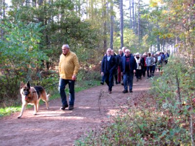 Plant Dog People In Nature Tree