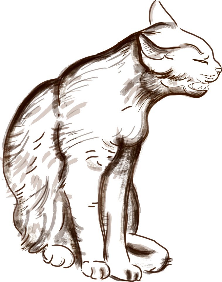 Croquis Au Vectoriel