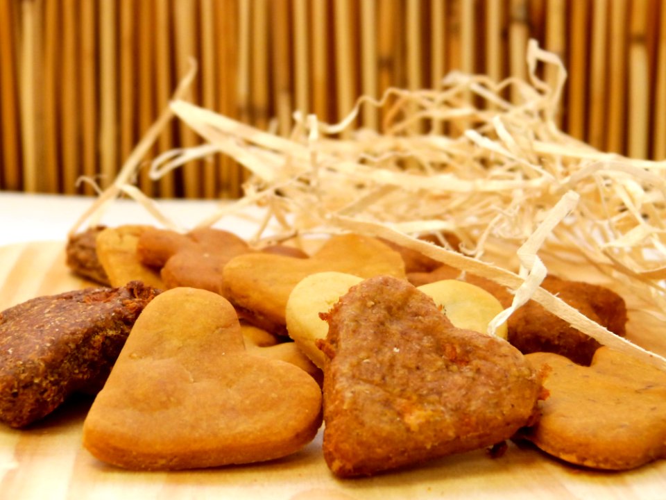 Snouts Doggie Bakery