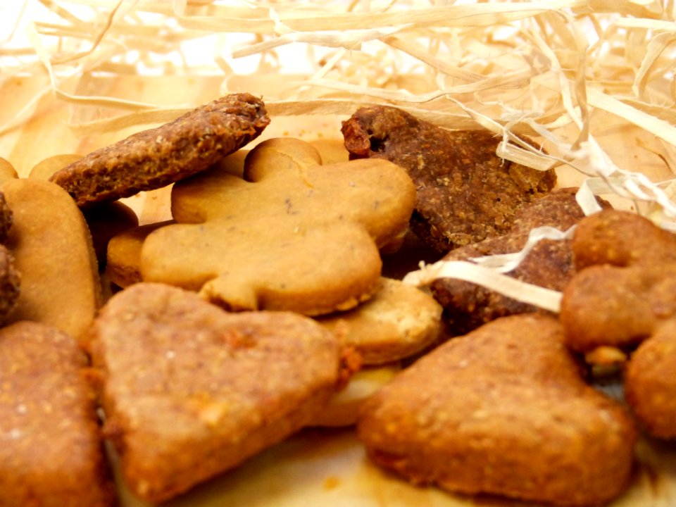 Snouts Doggie Bakery