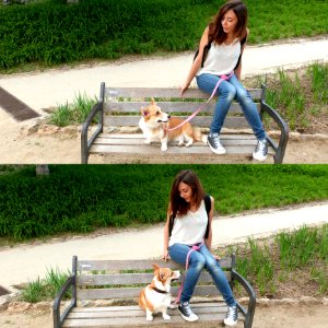 Parque Gull