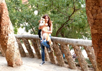Parque Gull