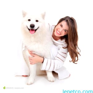 Lepetco Dog Product Manufacturer China (9)