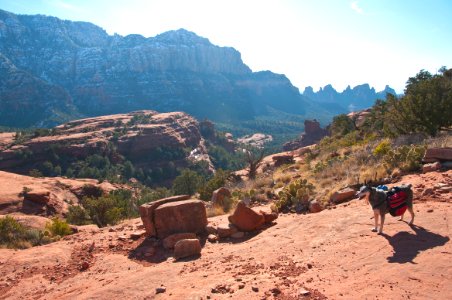 Mitten Ridge Trail