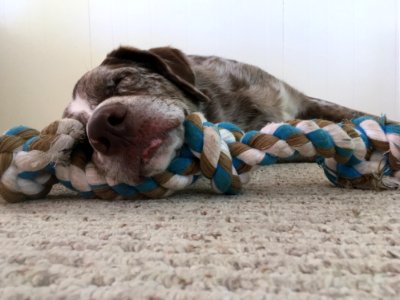 201736565 Sacked Out