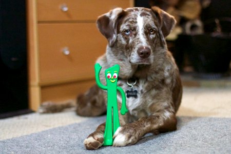201736556 Gumby IS Fun And Flexible