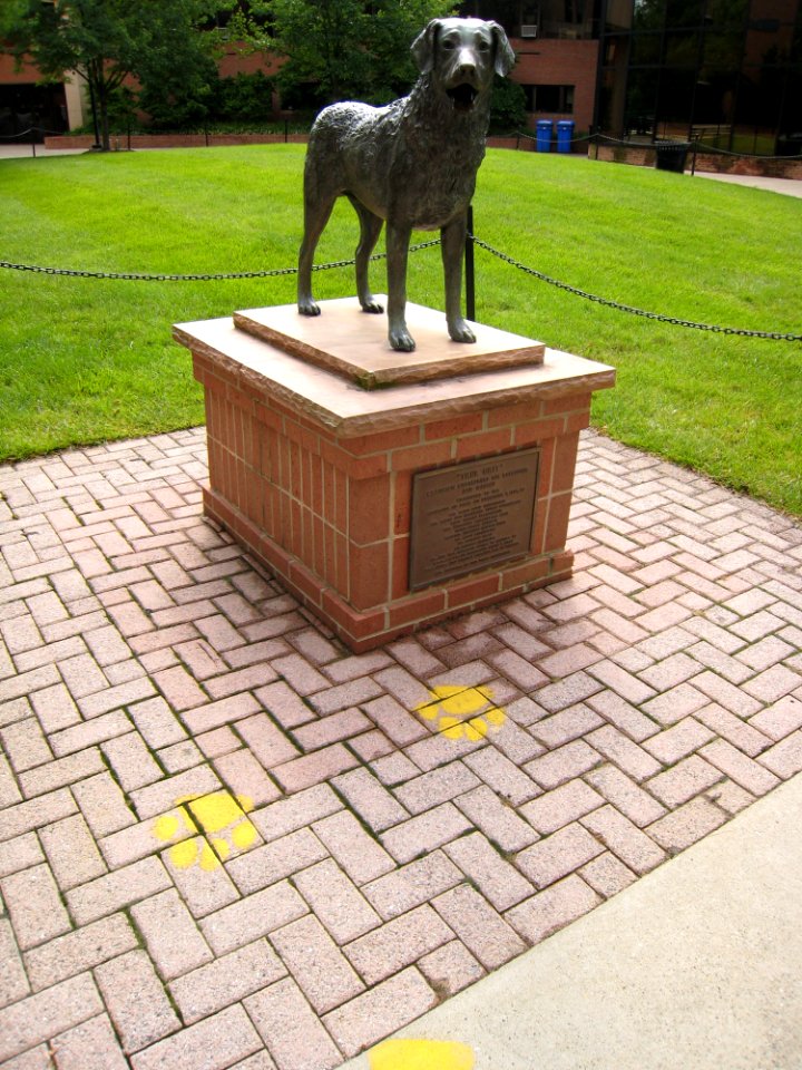 UMBC Mascot