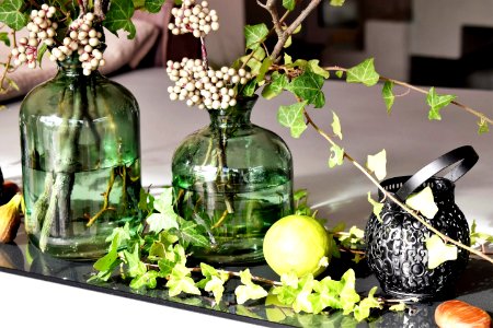 Green Leaved Plants In Green Clear Glass Vase photo