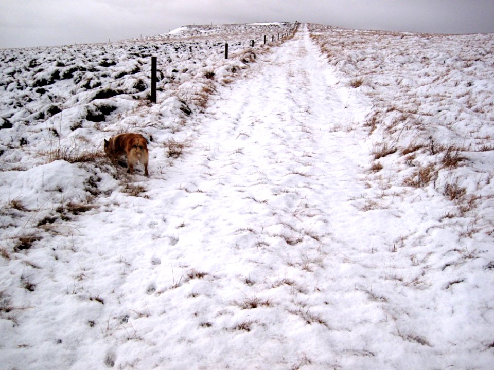Walking The Perimeter