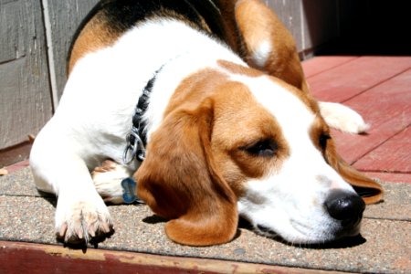 Fresa Relaxing