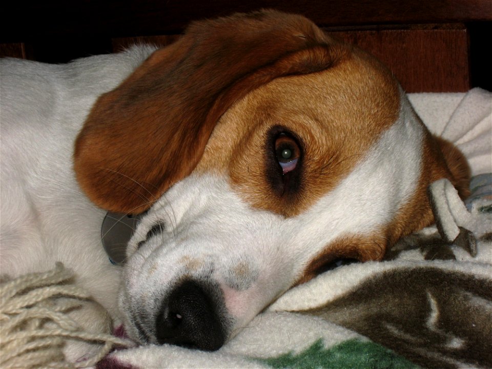 Ive Got My Eye On You