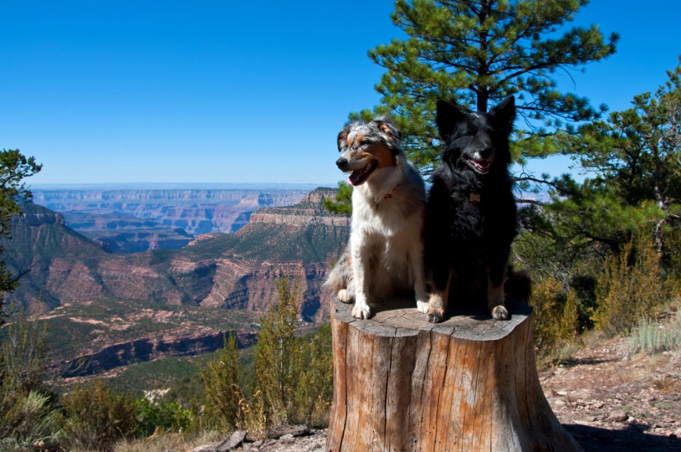 Grand Canyon North Rim