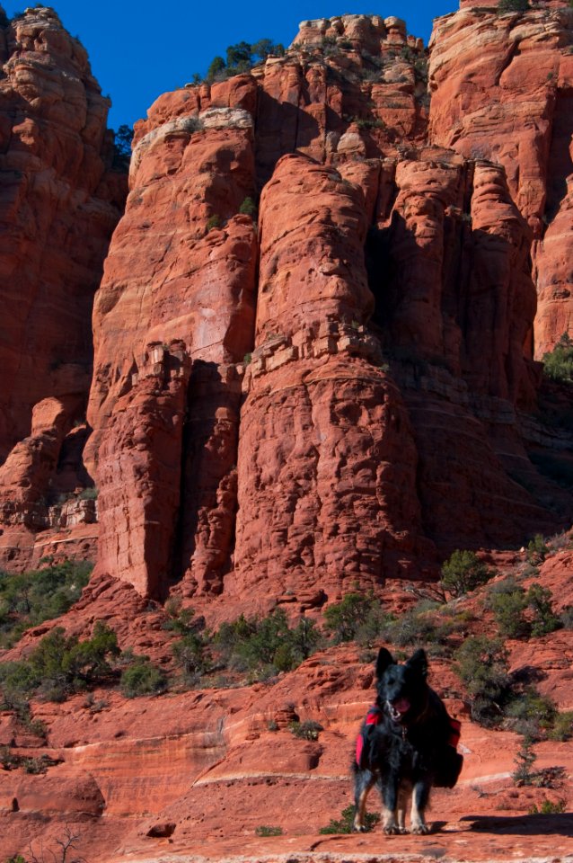 Mitten Ridge Trail