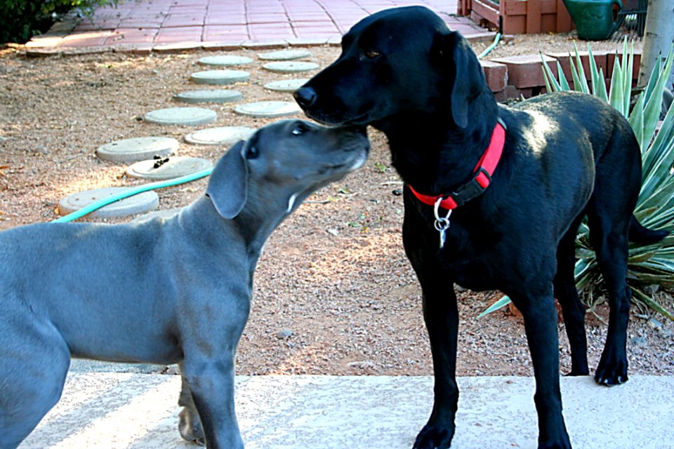Cadu Meets Her Cousin