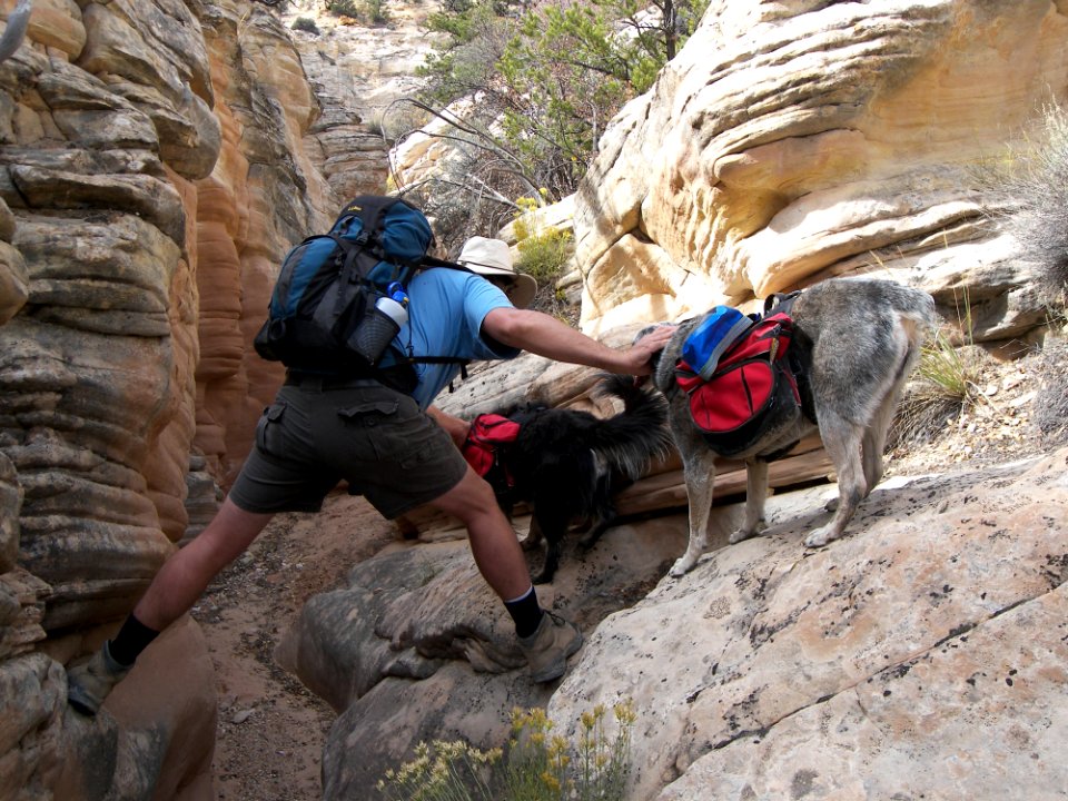 Vultees Arch