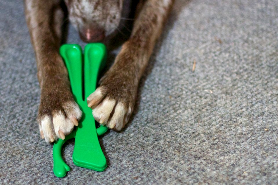 Gumby Is DOWN Repeat Gumby DOWN