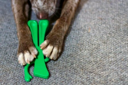 Gumby Is DOWN Repeat Gumby DOWN