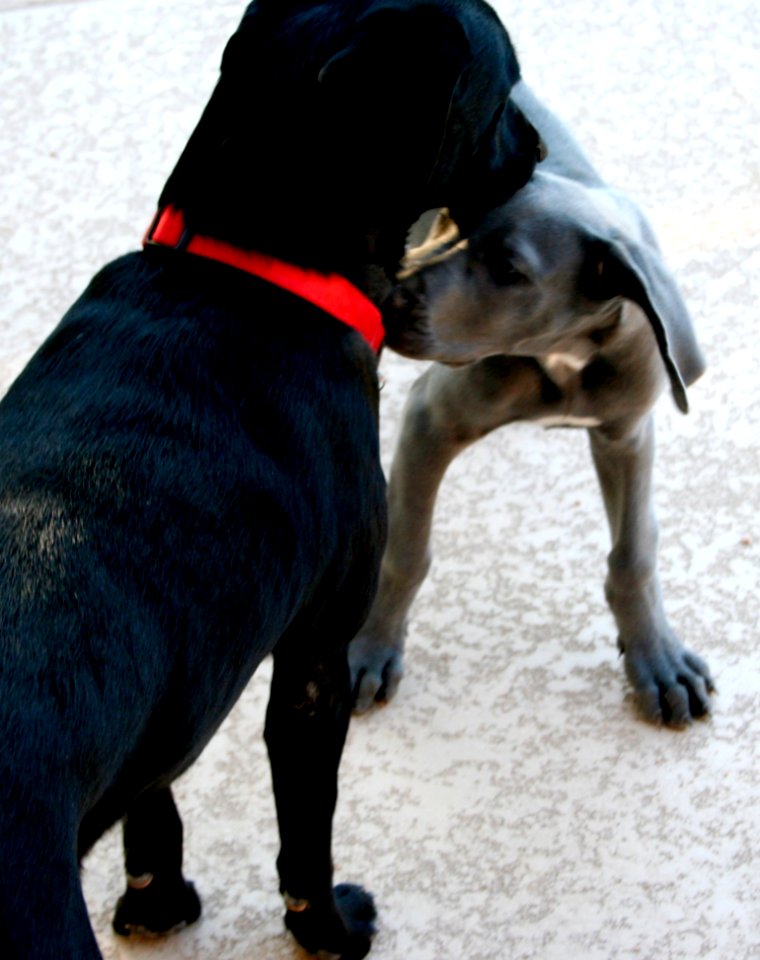 Cadu Meets Her Cousin