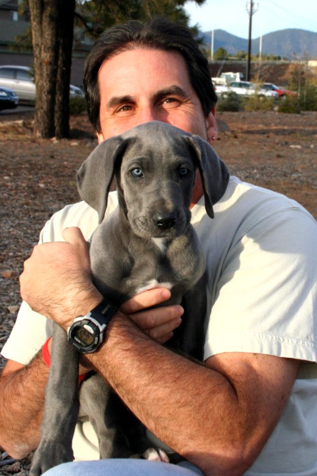 Our Grand-Dog