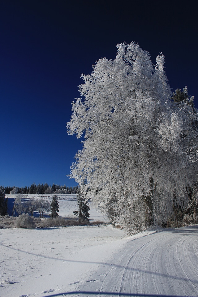Snow france auvergne