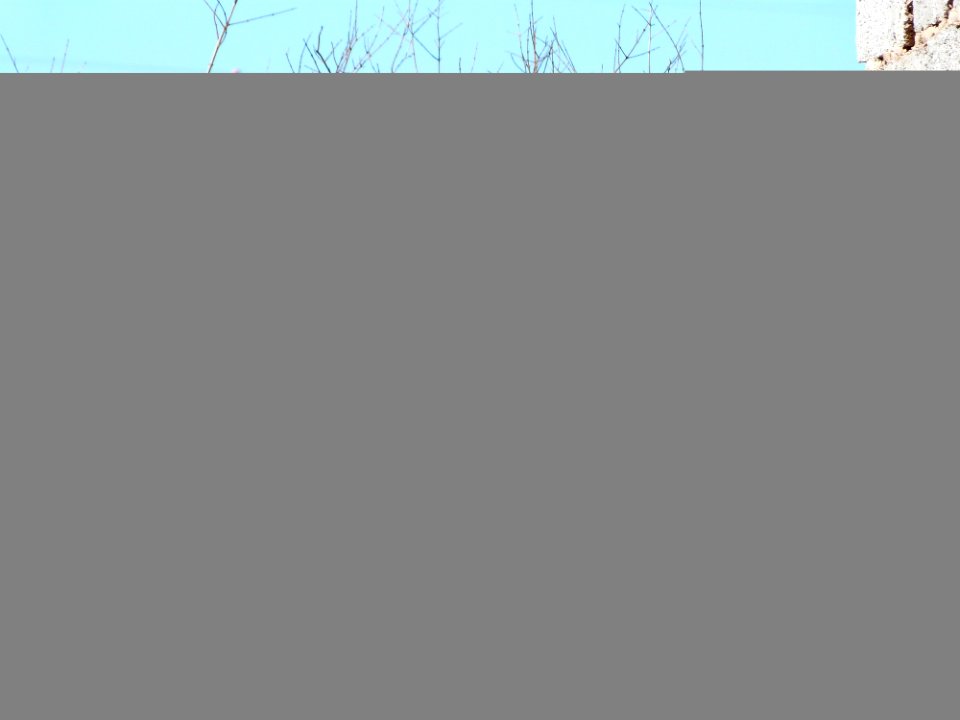 Sky Rectangle Slope Font