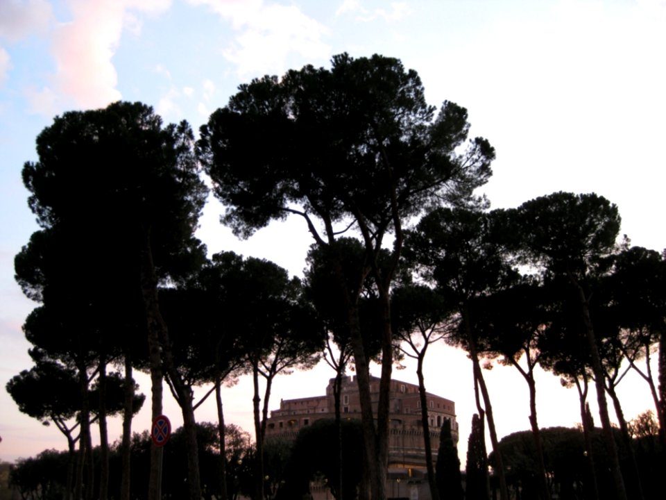 Sant-angelo-castle-seen-behind-pine-trees