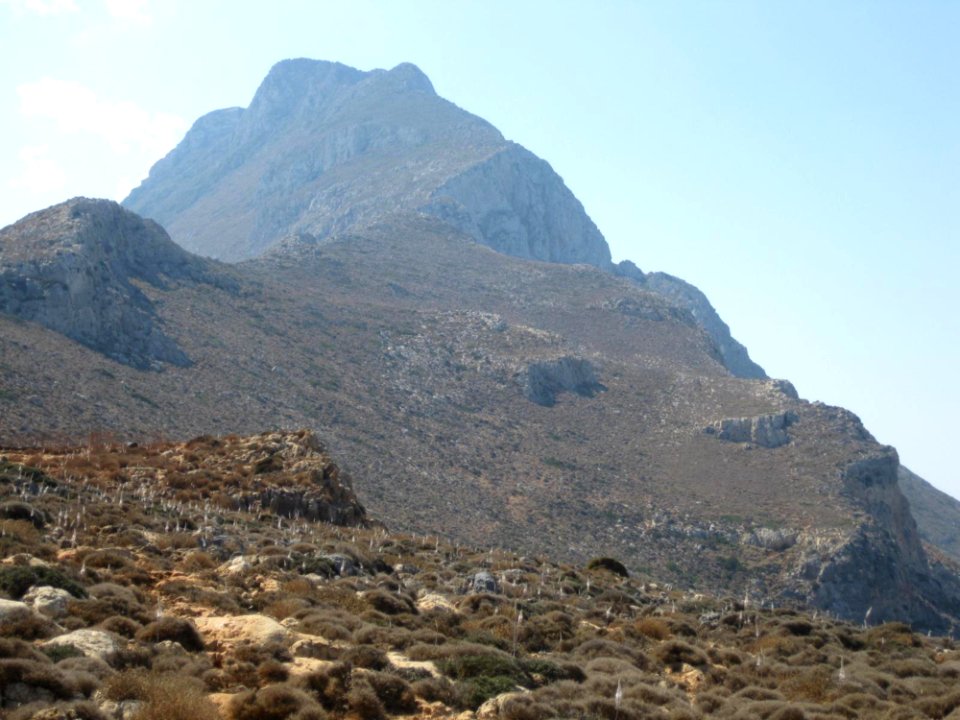 Rocky-mountain-foot photo