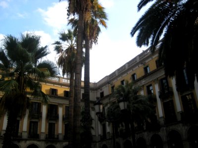 Placa-reial-palms