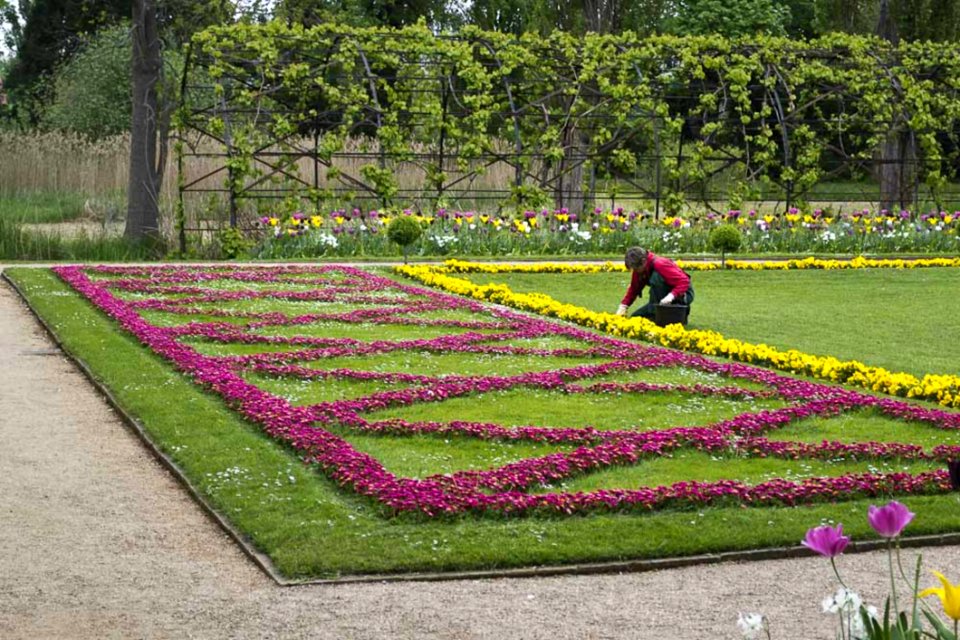 Gardener Planting Flowers