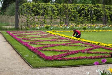 Gardener Planting Flowers